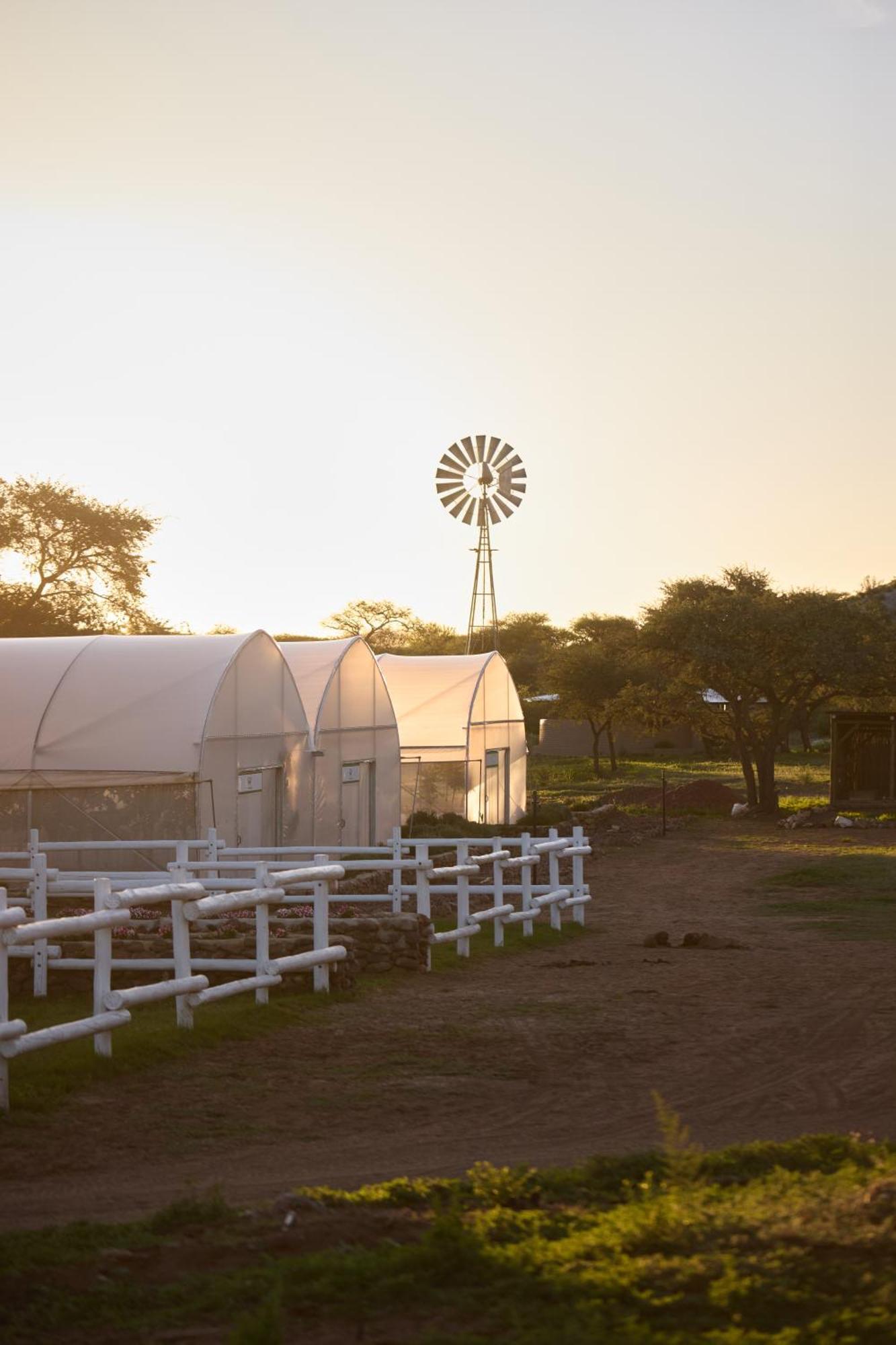 Gmundner Lodge Windhoek Exteriör bild